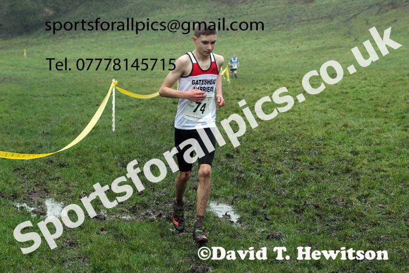 Boys under-15s, NECAA Junior Cross Country Relays, Thornley Farm, Peterlee, Saturday, December 12th. Photo: David T. Hewitson/Sports for All Pics